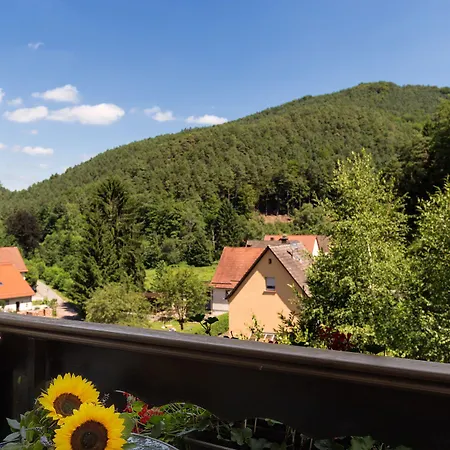 Kleine Blume Hotel Erfweiler