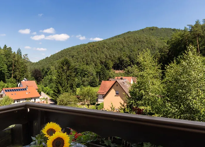 Kleine Blume Hotell Erfweiler